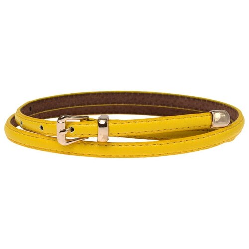 фото Fb-1118-67 желтый ремень fancy's bag jane's story