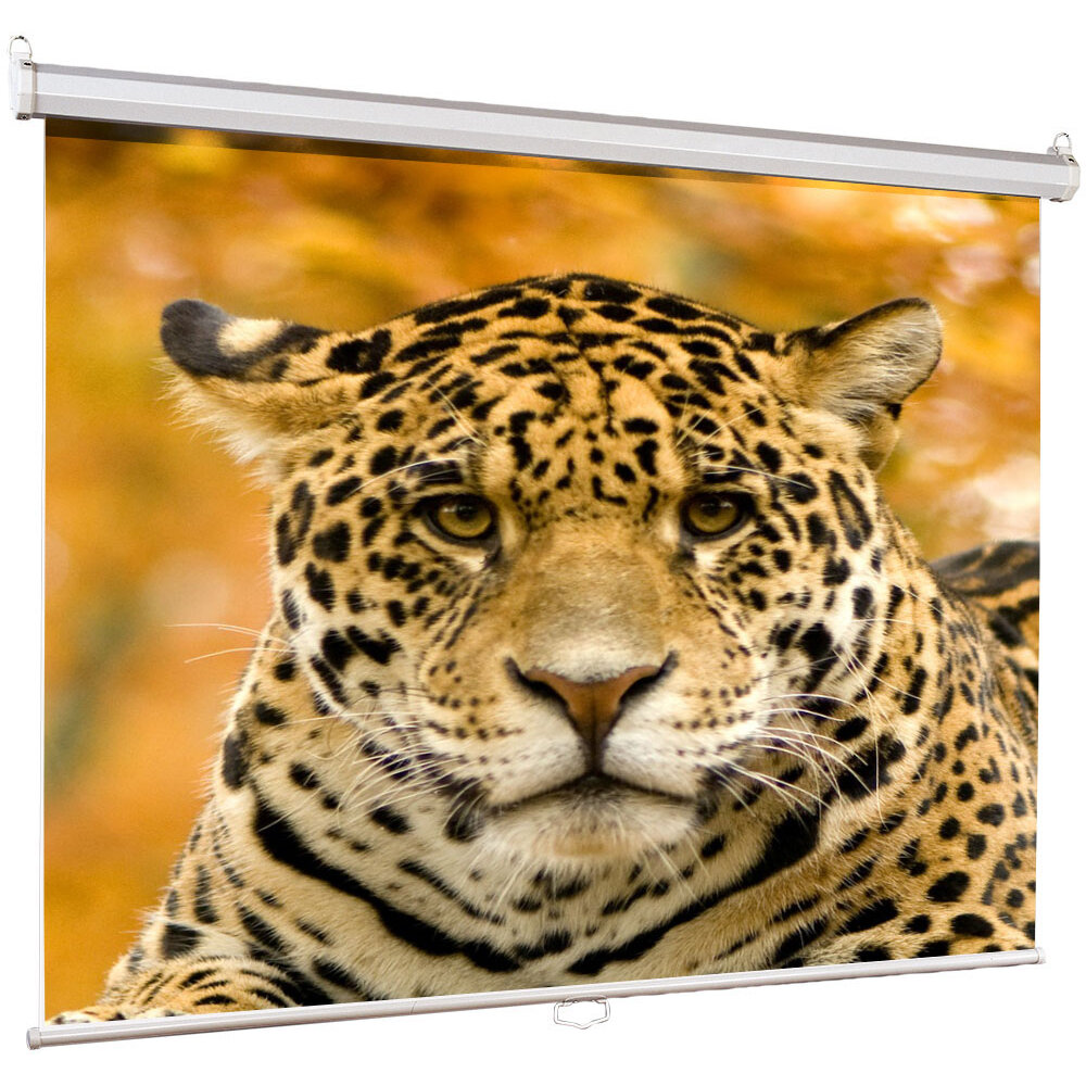 Экран Lumien Eco Picture 111" (282 см) настенно-потолочный - фото №12