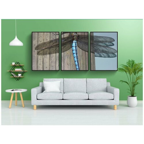 фото Набор модулных постеров для интерьера "стрекоза, насекомое, гигант" 60x90 см. в тубусе, без рамки lotsprints