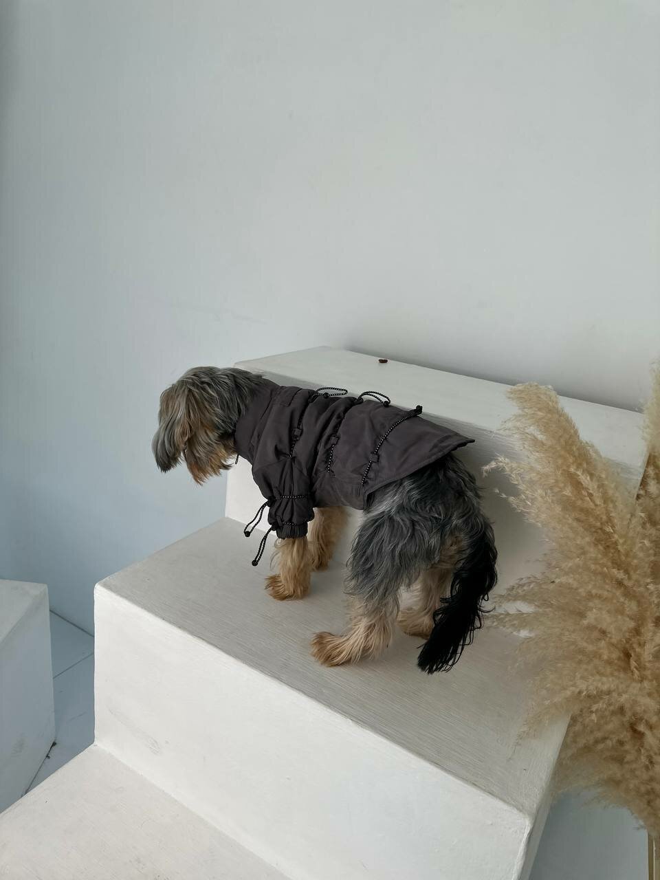 Куртка с утяжками для собак мелких и средних пород - фотография № 8