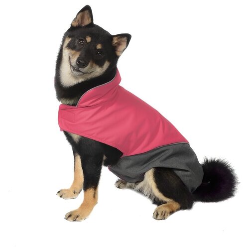 Tappi одежда Попона Блант для собак розовая, размер M, спинка 34 см, лд22ос, 0,107 кг одежда для животных tappi попона блант для собак розовая размер m спинка 34 см