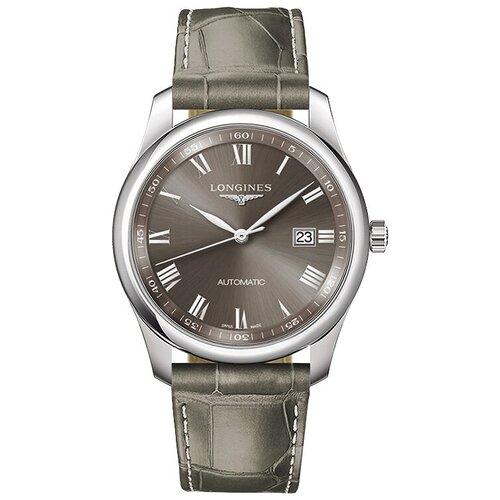 Наручные часы LONGINES The Longines Master Collection, серый adobe master collection 2024 для windows