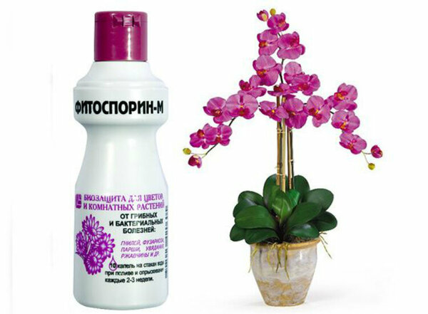 БашИнком Фитоспорин–М цветы, 100 мл
