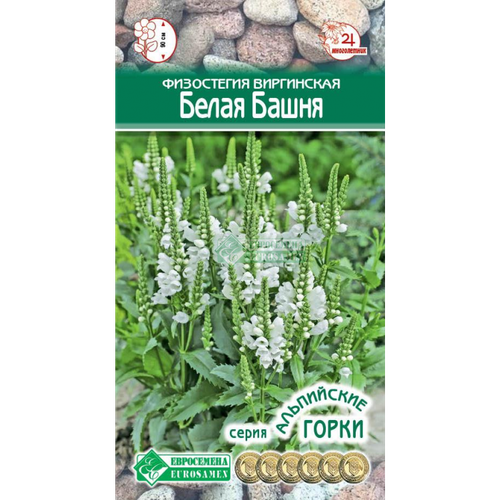 Семена Физостегии виргинской "Белая башня" (Fhysostegia virginiana White) (0,1 г)