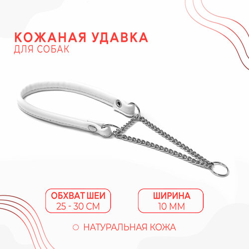 Ошейник-удавка для маленьких собак из натуральной кожи (обхват 25-30 см/белый цвет)
