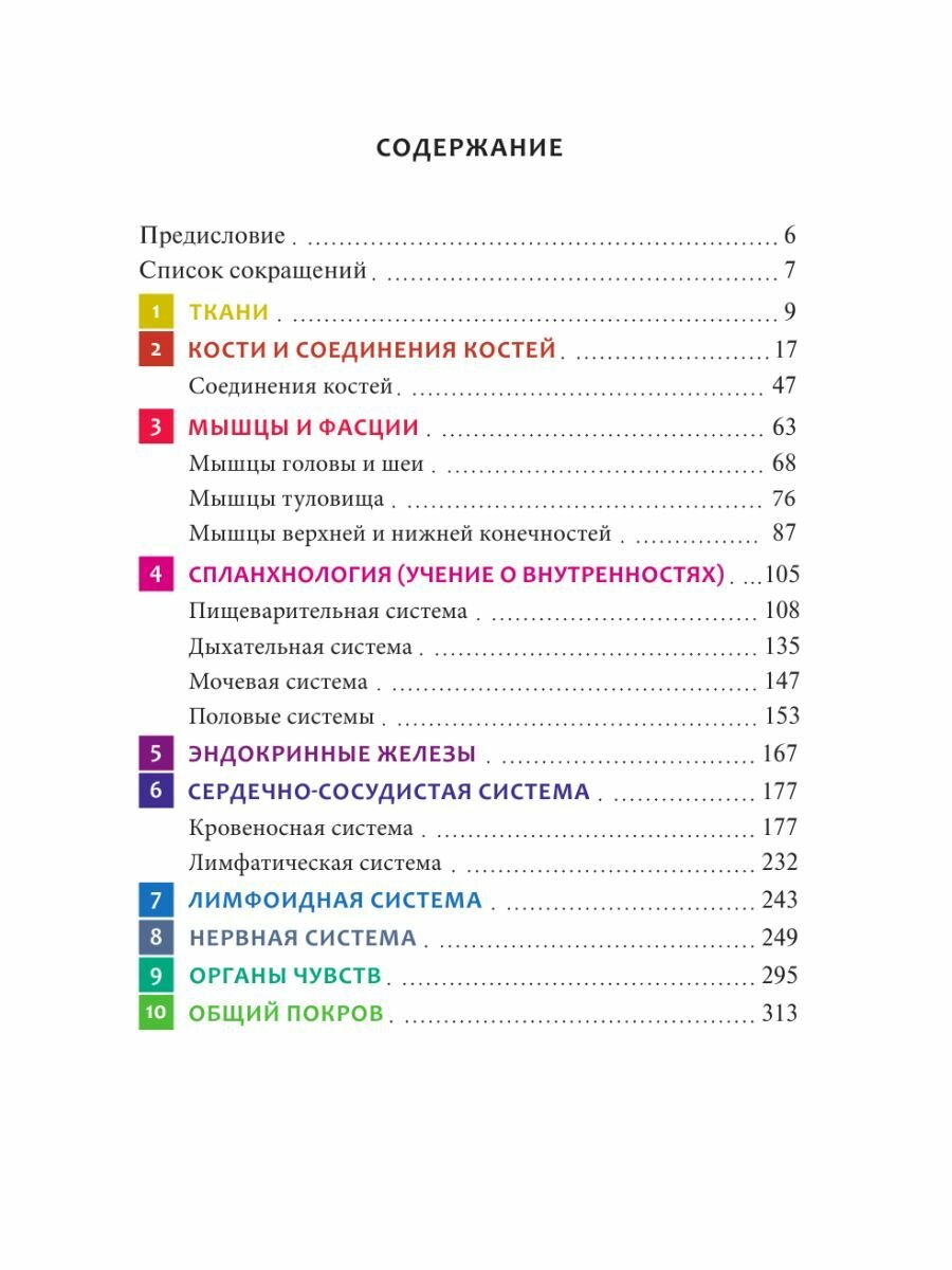 Универсальный атлас анатомии человека с цветными иллюстрациями - фото №11