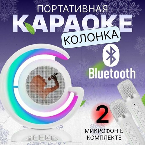 Портативная колонка-караоке с двумя микрофонами белая портативная колонка с микрофоном караоке 238900₽