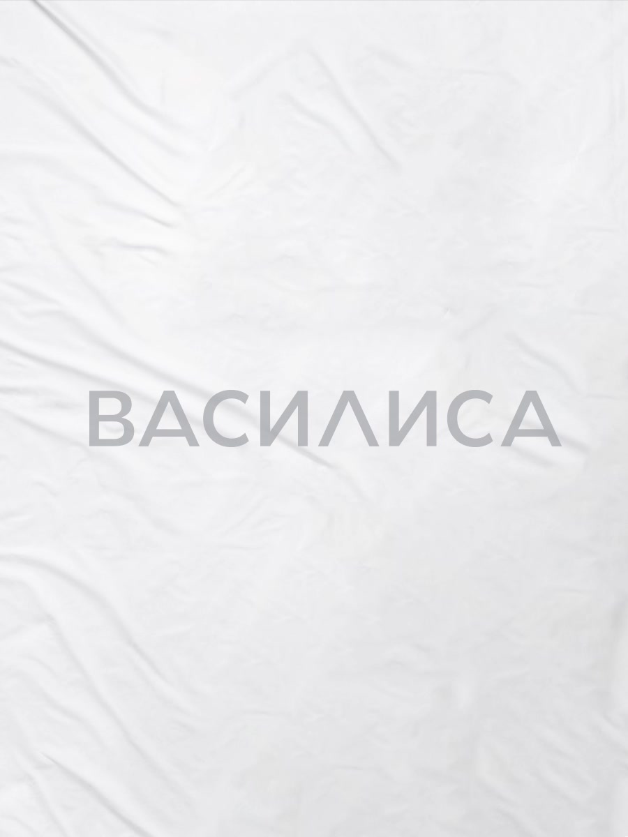 Комплект наволочек Василиса 70х70 см, 2 шт, Бязь, хлопок 100%, Авиньон — фото 1
