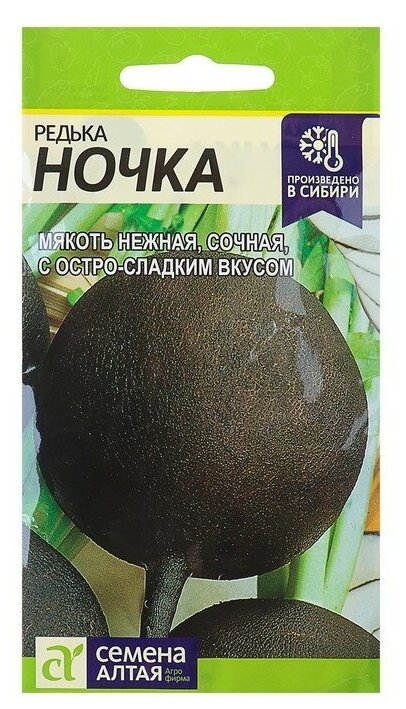 Мицелий Семена Редька Ночка, среднеспелая с остро-сладким вкусом, для хранения, цп, от Семена Алтая,1 г