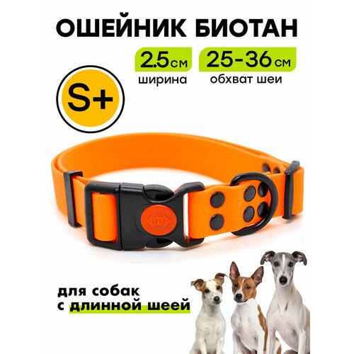 Ошейник из биотана 25-36 см (S+), 25 мм, Woofy "Iron", водостойкий, для небольших и средних собак, оранжевый