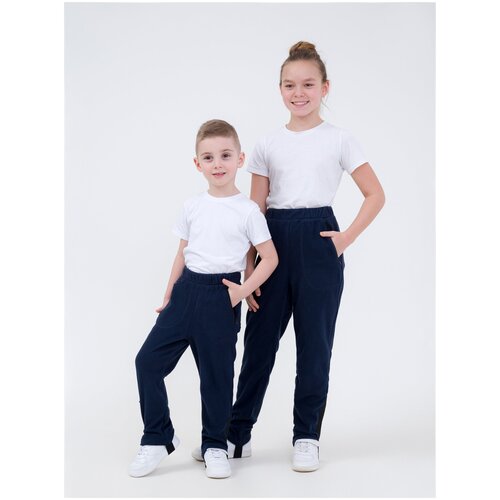 Флисовые брюки детские, штаны для мальчика и девочки Ф22145 темно-синий (146)