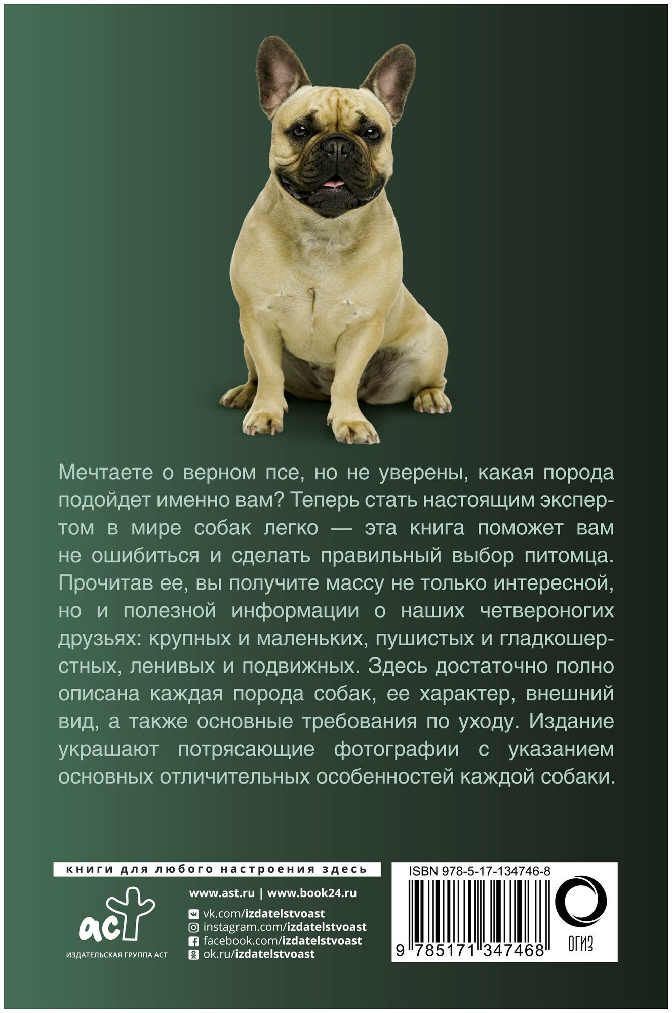 Собаки. Популярный иллюстрированный гид - фото №2