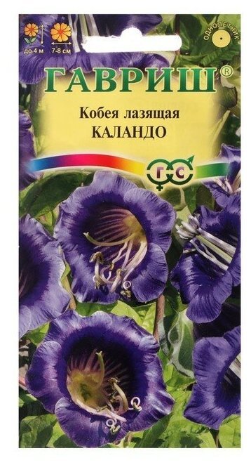 Семена цветов "Гавриш" Кобея лазящая "Каландо" 5 шт