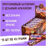 Протеиновый батончик FIT KIT Wellnut Crispy Protein BAR без сахара, 15штХ45г - изображение