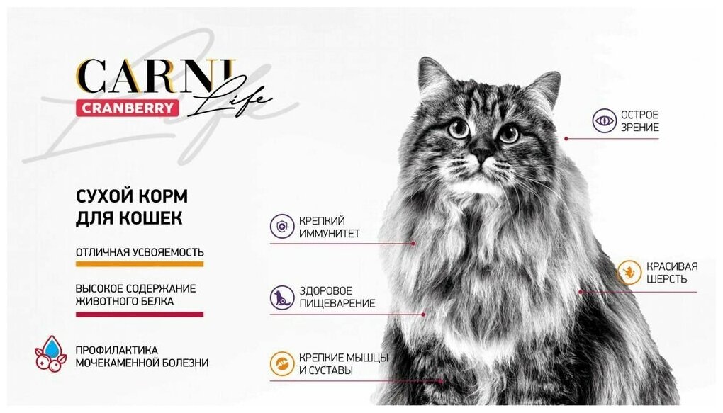 Сухой корм для кошек CARNI LIFE Adult говядина с черносливом и клюквой 1,5кг - фотография № 8