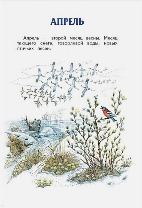 Лесные разговоры (Шим Эдуард Юрьевич (соавтор), Ливеровский Алексей Алексеевич, Белоусова Марина Владимировна (иллюстратор)) - фото №8