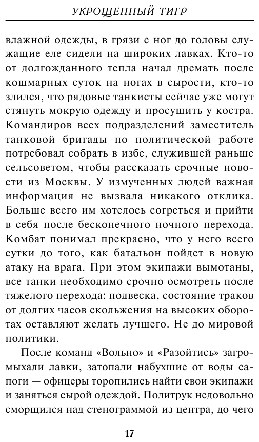 Укрощенный тигр (Зверев Сергей Иванович) - фото №18