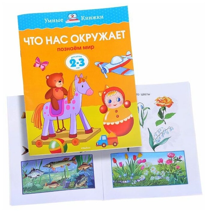Что нас окружает. Познаем мир. Для детей 2-3 лет - фото №3