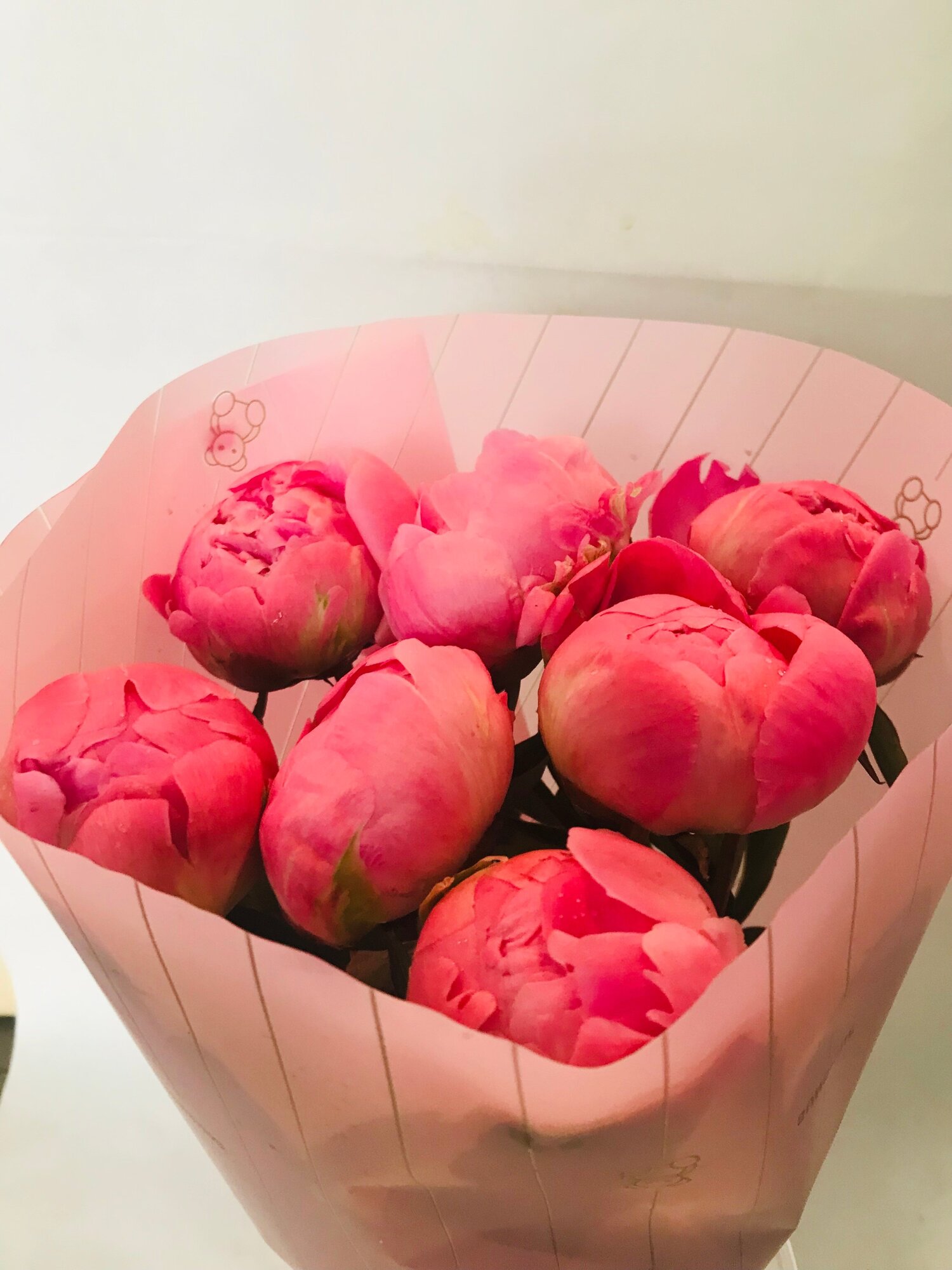 Букет из 7 розовых, свежих, Российских пионов 50 см, по 237 р/шт, в дизайнерской упаковке