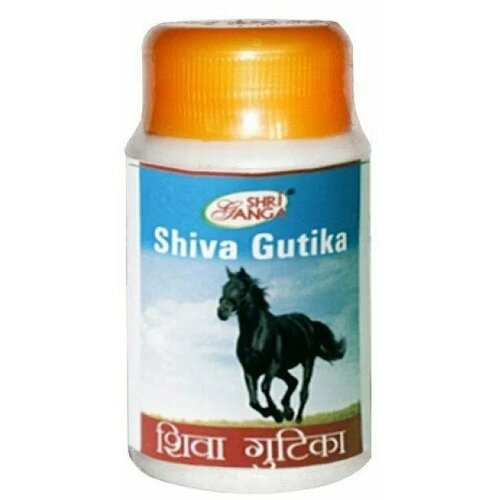 Шива Гутика Шри Ганга (Shiva Gutika Shri Ganga) Комплексное оздоровление, Детокс, 50 г.