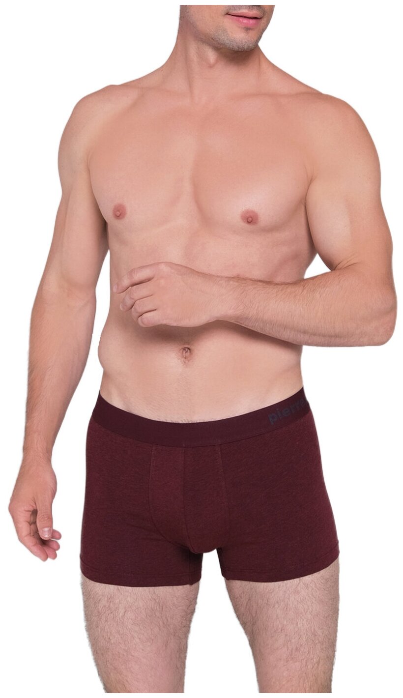 фото Трусы Pierre Cardin