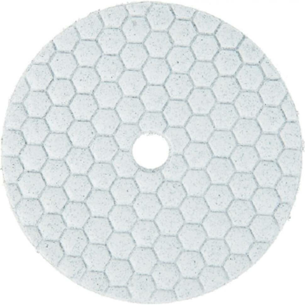 Черепашка АГШК - алмазный гибкий диск для сухой шлифовки D 100 мм, P 120, Стронг СТБ-31100120 - фотография № 3