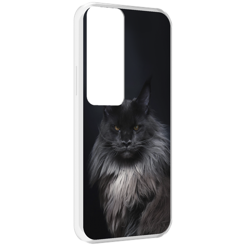 Чехол MyPads кошка мейн кун 2 для Tecno Pova Neo 2 задняя-панель-накладка-бампер