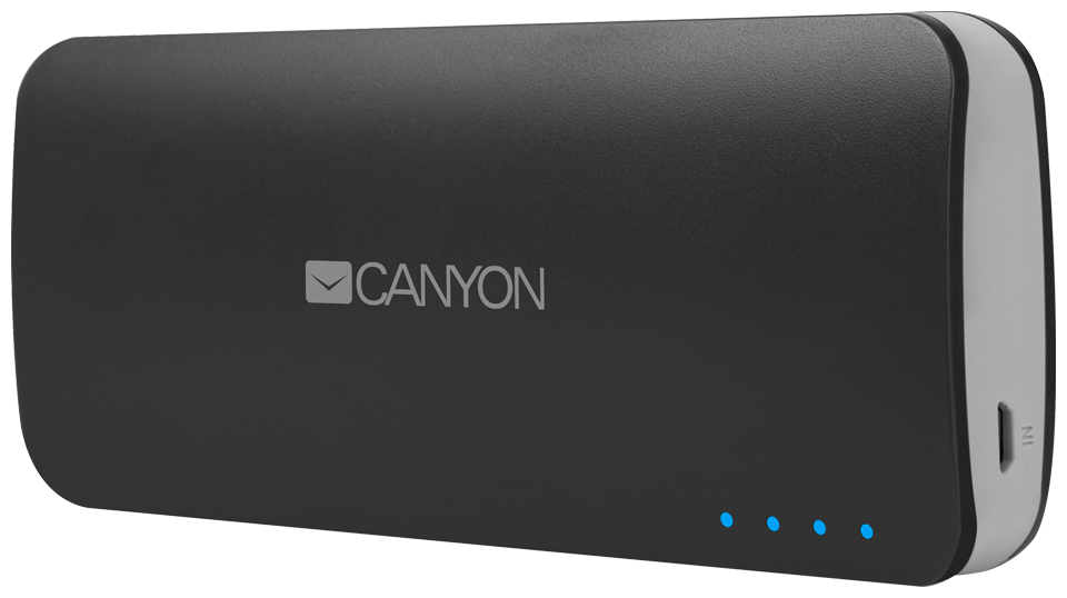 Внешний аккумулятор 10000 mAh, 2xUSB, Canyon, темно-серый, CNE-CPB100DG