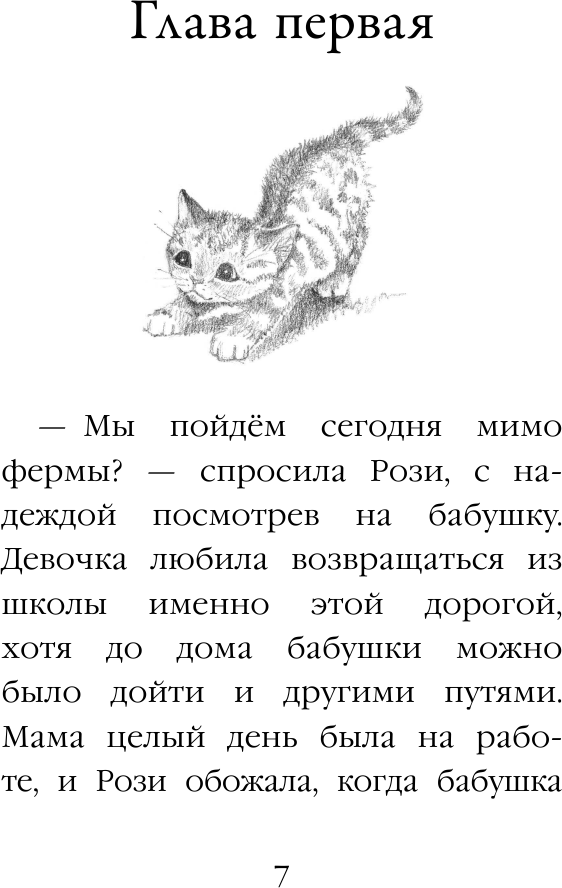 Котёнок Рыжик, или Как найти сокровище - фото №13