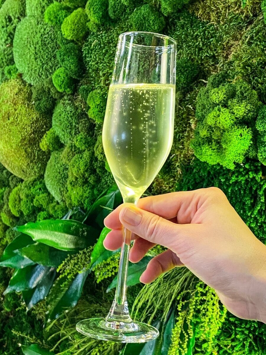 Набор бокалов для шампанского Luminarc селест 160мл 6шт - фото №8