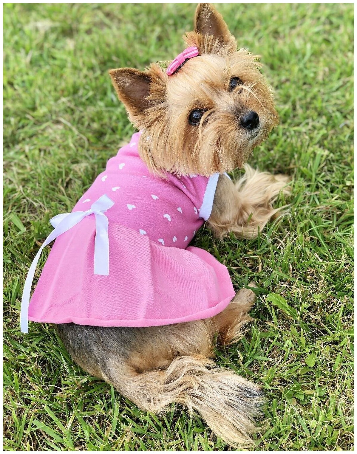 Платье OSSO для собак "Маленькая кокетка", размер 35
