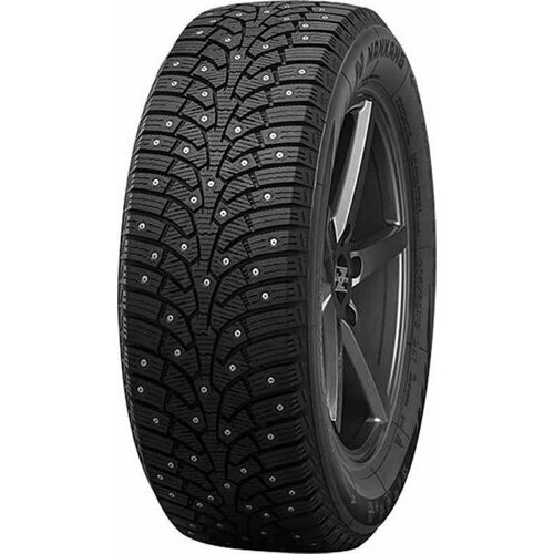 Шина Nankang SW-9 255/40R19 100T шип