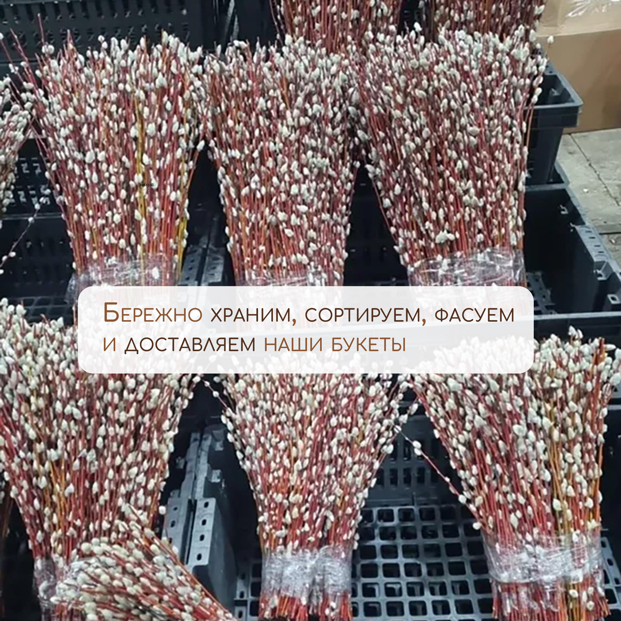 Букет живой вербы пасхальный 40 см, 21 ветка, вербное воскресенье — фото 1