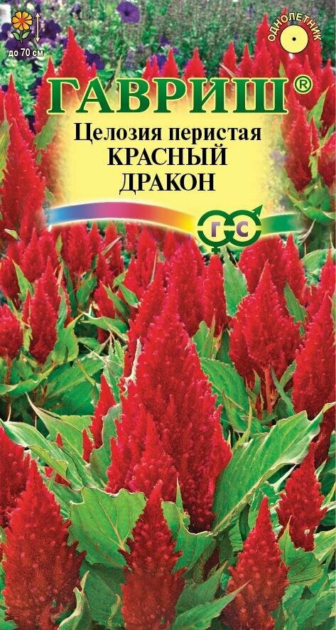 Семена Целозия Красный Дракон перистая 005г Одн 70см (Гавриш)