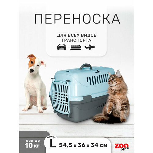 Переноска ZOOexpress Турне для кошек и собак мелких пород, цветная пластиковая дверца, 54,5х36х34 см (L), голубой