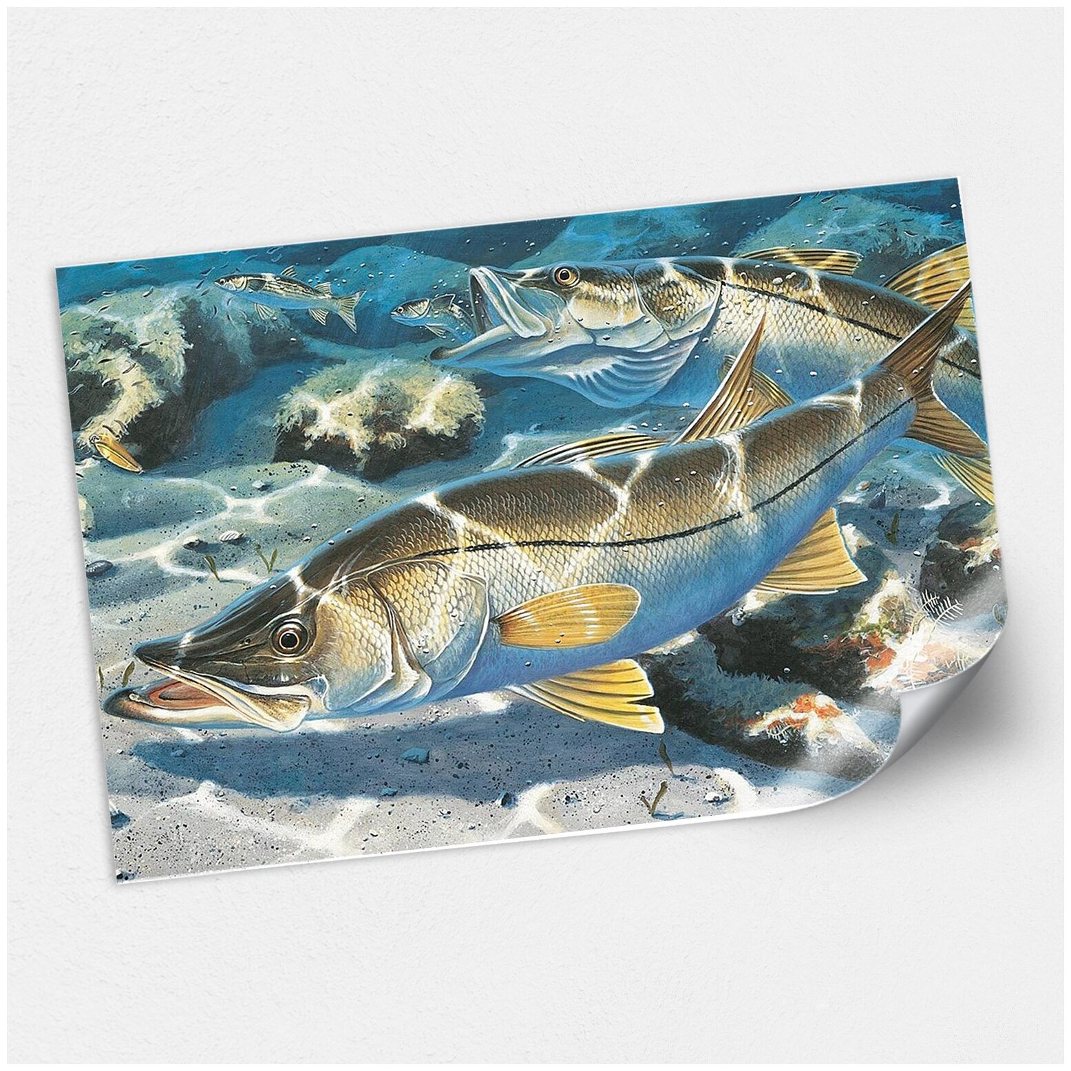 Интерьерный плакат с рыбой / Постер для оформления рыболовного магазина / А-3 (42x30 см.)