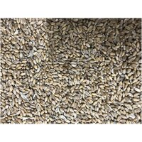 Пшеница фуражная, зерно 10 кг добавка для с/х птицы