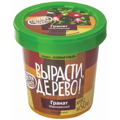 Набор для выращивания растений Вырасти дерево! 