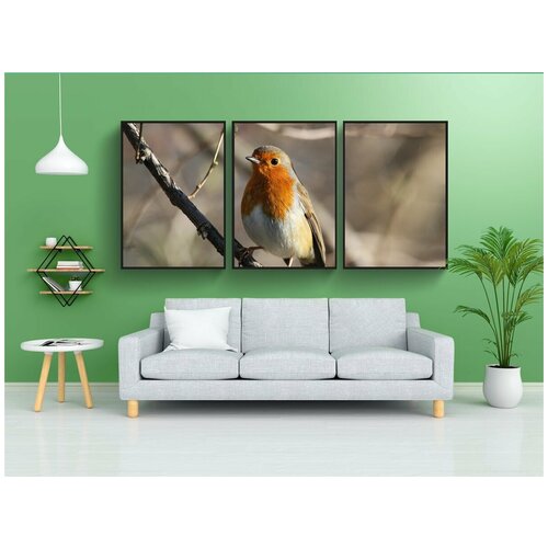 фото Набор модулных постеров для интерьера "робин, птица, красногрудый" 60x90 см. в тубусе, без рамки lotsprints