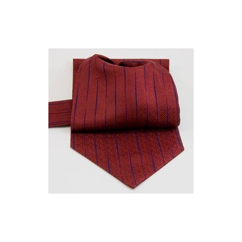 фото Шейный мужской платок (аскот) dominique lemay