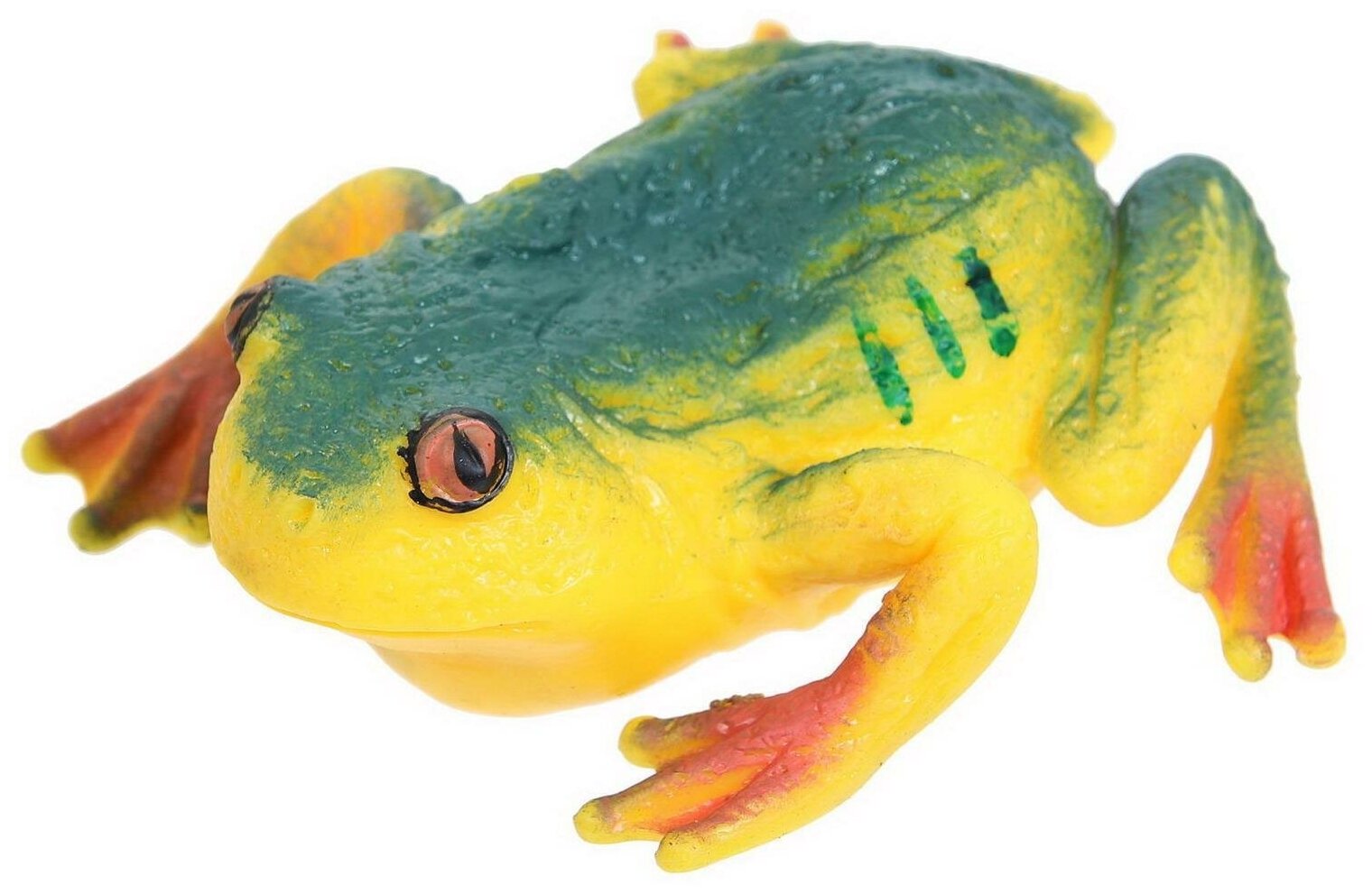 Фигурка Abtoys Юный натуралист: Лягушки, зелено-желтая с красными лапками (PT-01737)