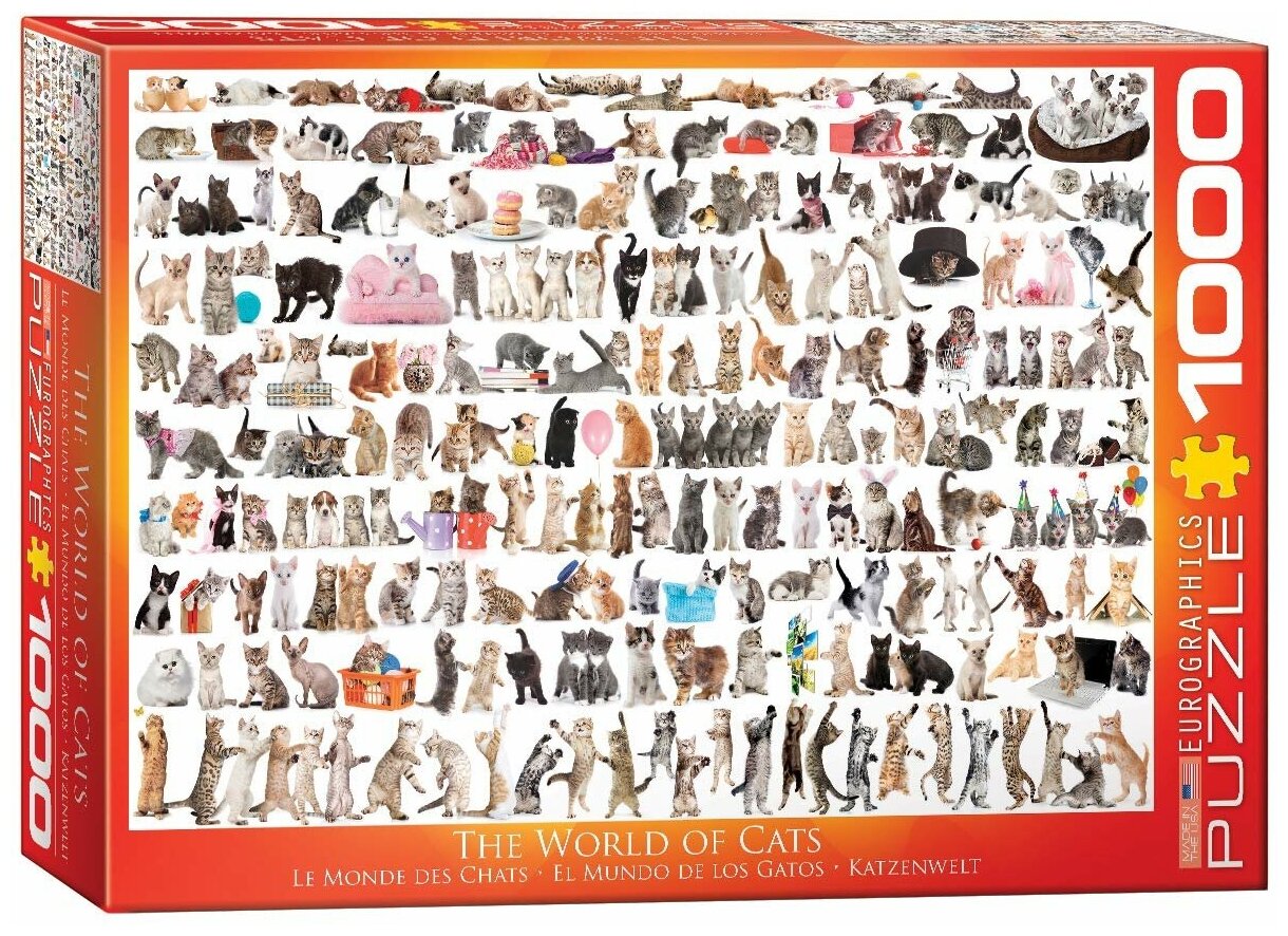 Пазл Eurographics Мир кошек, 1000 элементов (6000-0580) - фото №1