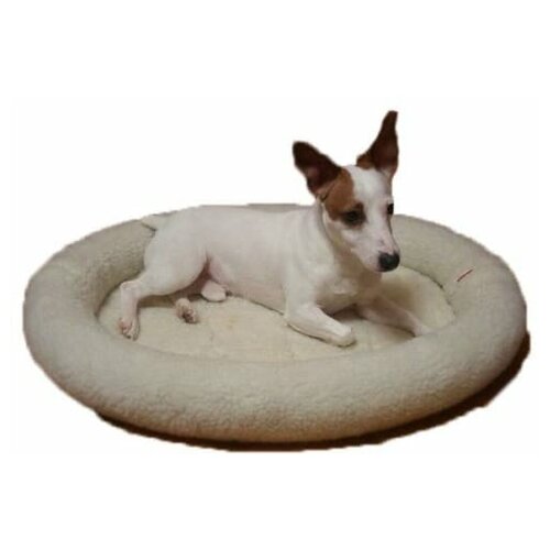 Ладиоли М-101 Лежак овальный с жестким валиком