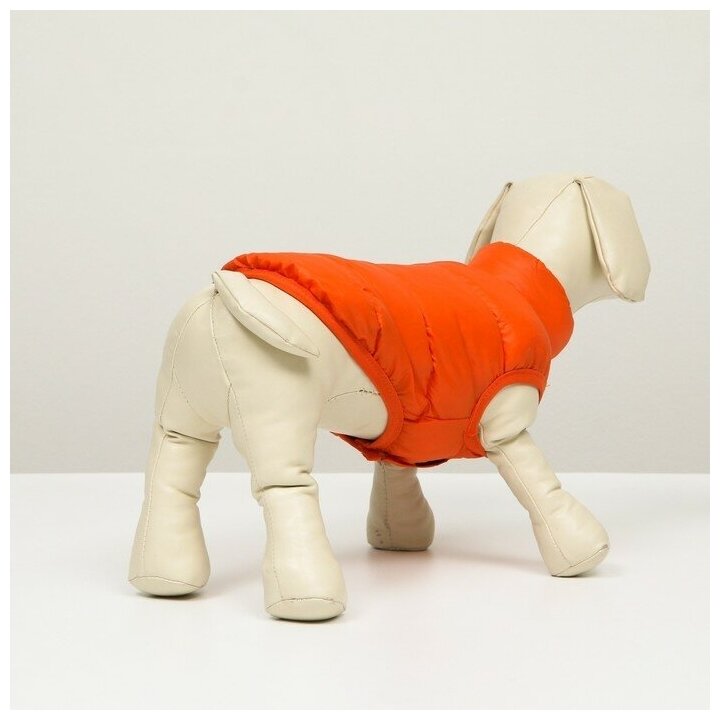 Куртка для собак двухстороння с принтом, размер 8 (ДС 23 см, ОГ 30, ОГ 22 см), коралловая - фотография № 6