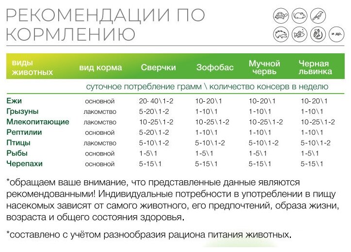 Консервированный мучной червь ONTO, 40г - фотография № 3