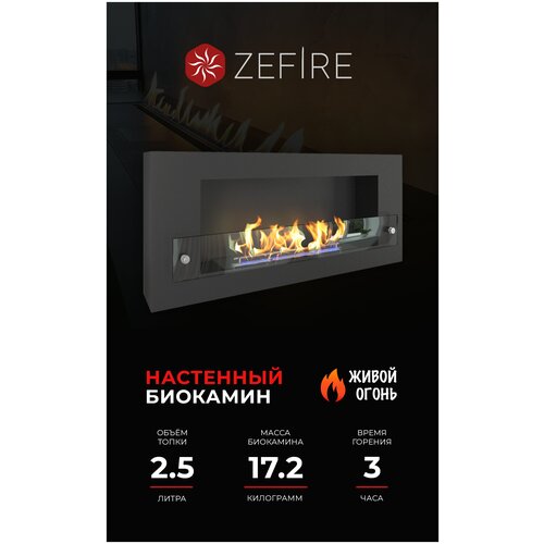 Биокамин настенный Zefire Orion 900 со стеклом 3.5 кВт 90 см 40 см 13.1 см черный..