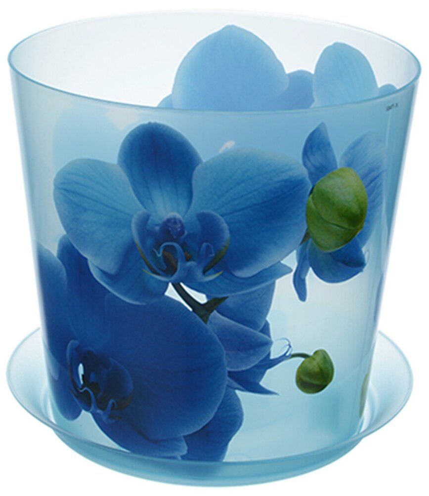 Горшок для цветов / кашпо с поддоном деко Орхидея 2.4л IDEA, 16x15.5 см, прозрачный/голубой