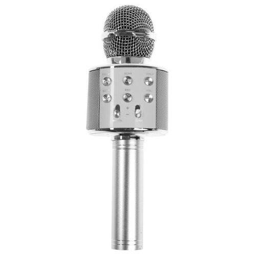 Микрофон для караоке Belsis MA3001BE, Bluetooth, FM, microSD, серебристый