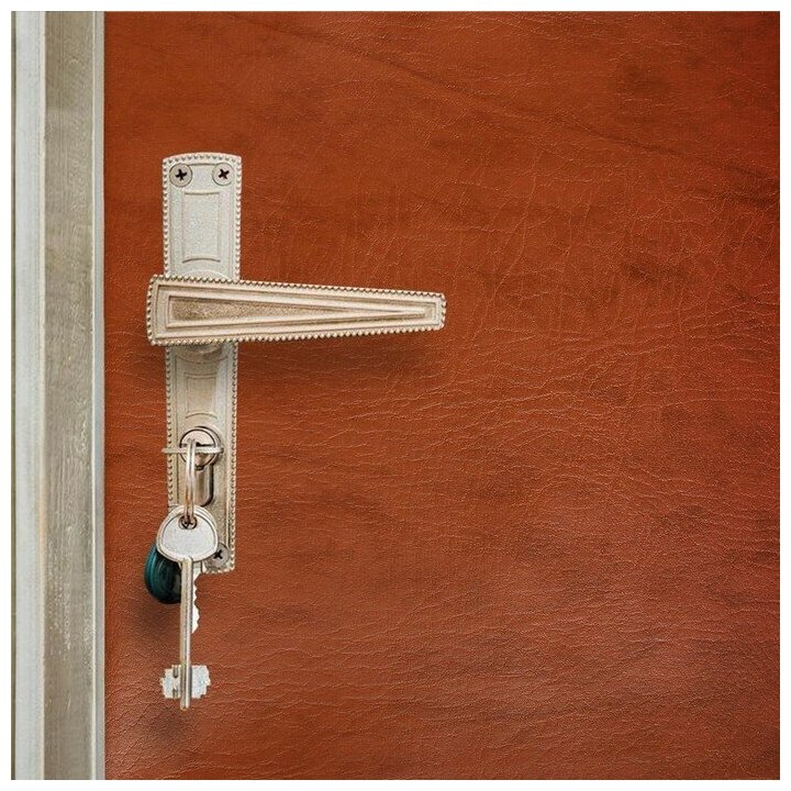 Комплект для обивки дверей 110 × 205 см: иск.кожа, поролон 3 мм, гвозди, коричневый, «Эконом» - фотография № 1