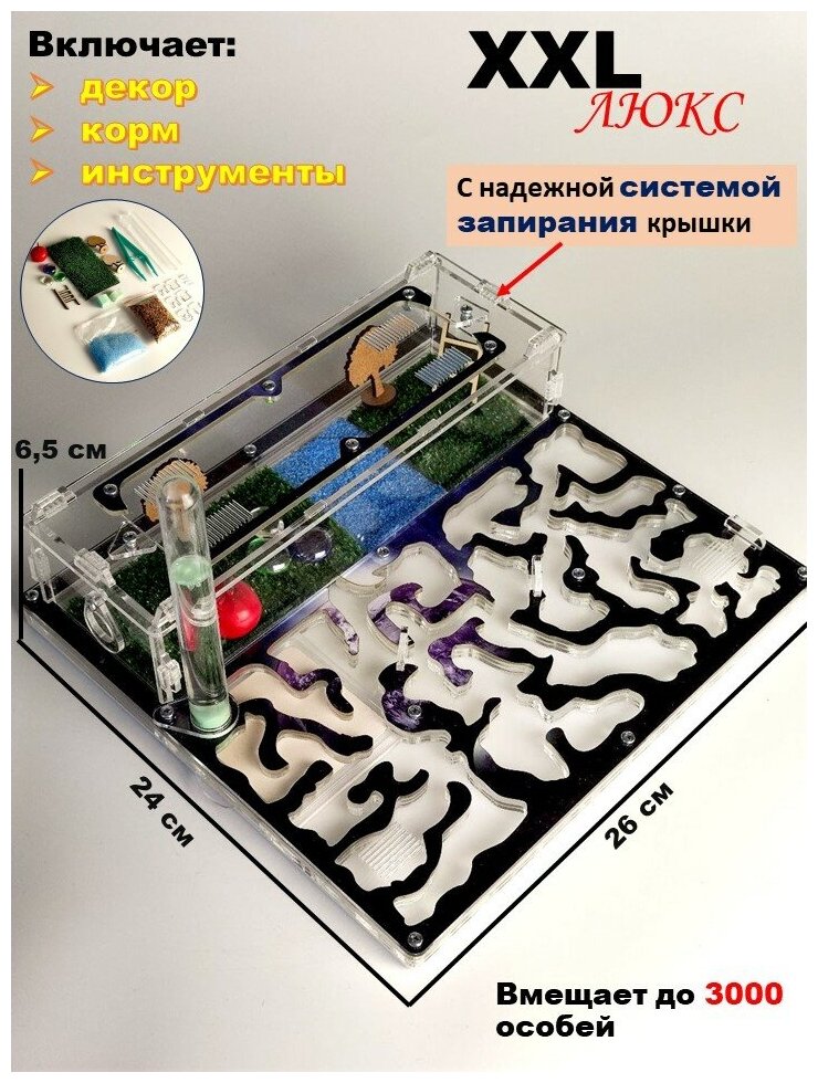 Большая муравьиная ферма "Планета" XXL Люкс 26*24*7см - фотография № 1